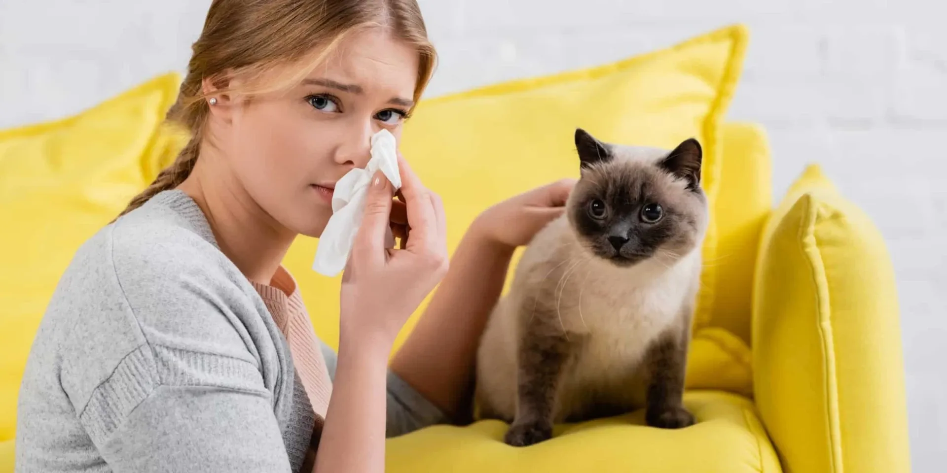 Siamese cat and crying woman