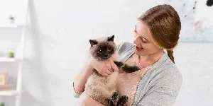 Siamese cat held by woman
