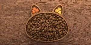 cat dry food