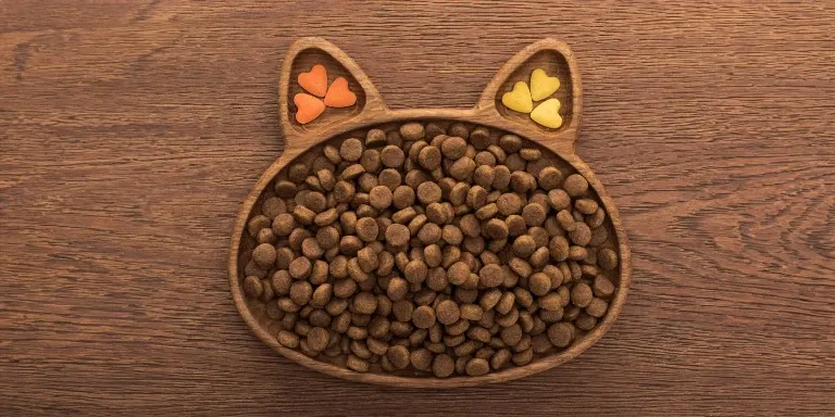 cat dry food