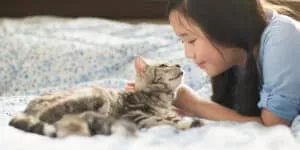 cat on bed with child