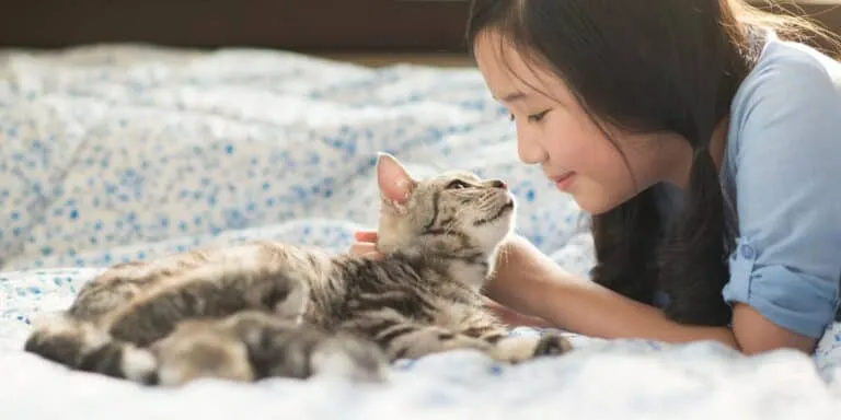 cat on bed with child