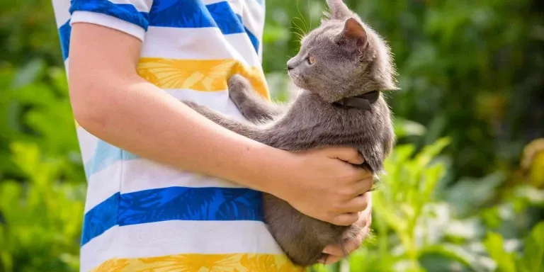 cat pushing away from human