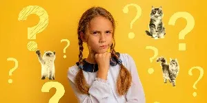 cat question