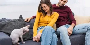 couple with sphynx cat