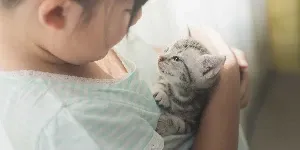 kitten cuddle
