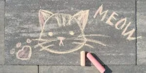 meow chalk cat