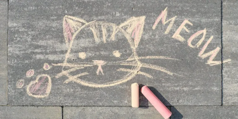 meow chalk cat