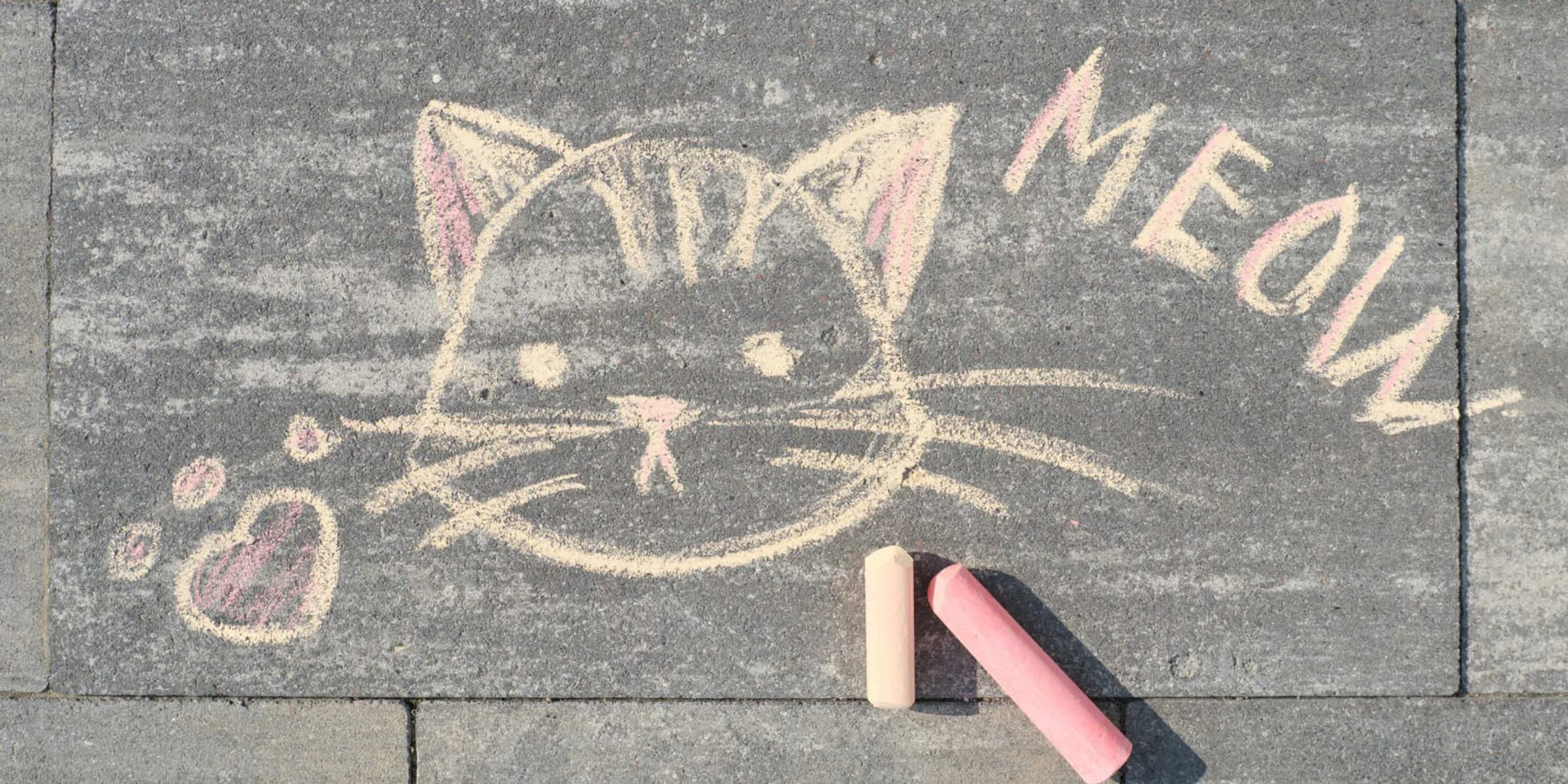 meow chalk cat