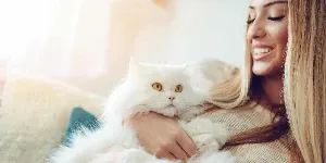 persian cat woman cuddle