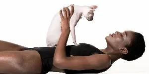sphynx cat on owner
