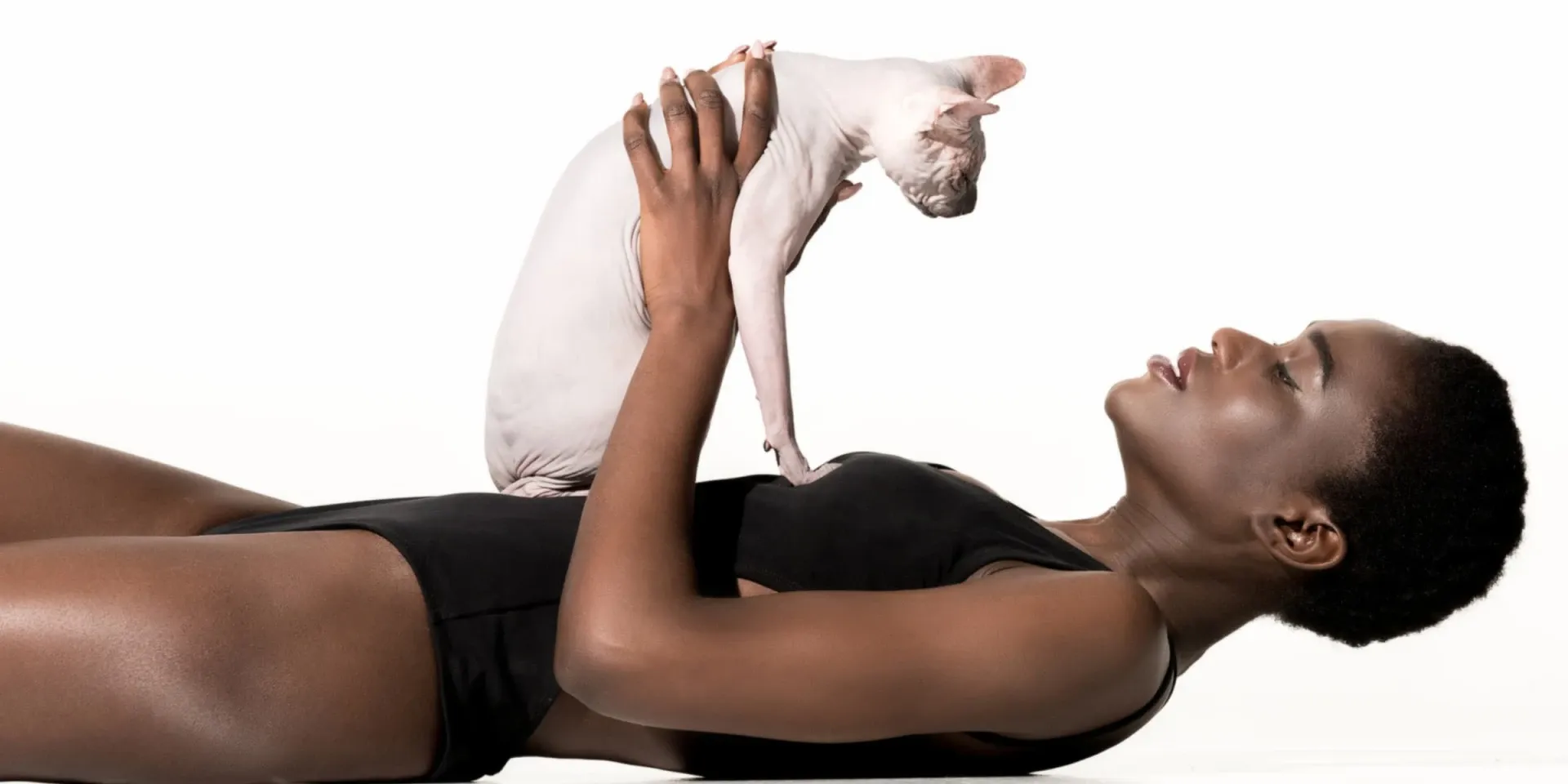 sphynx cat on owner
