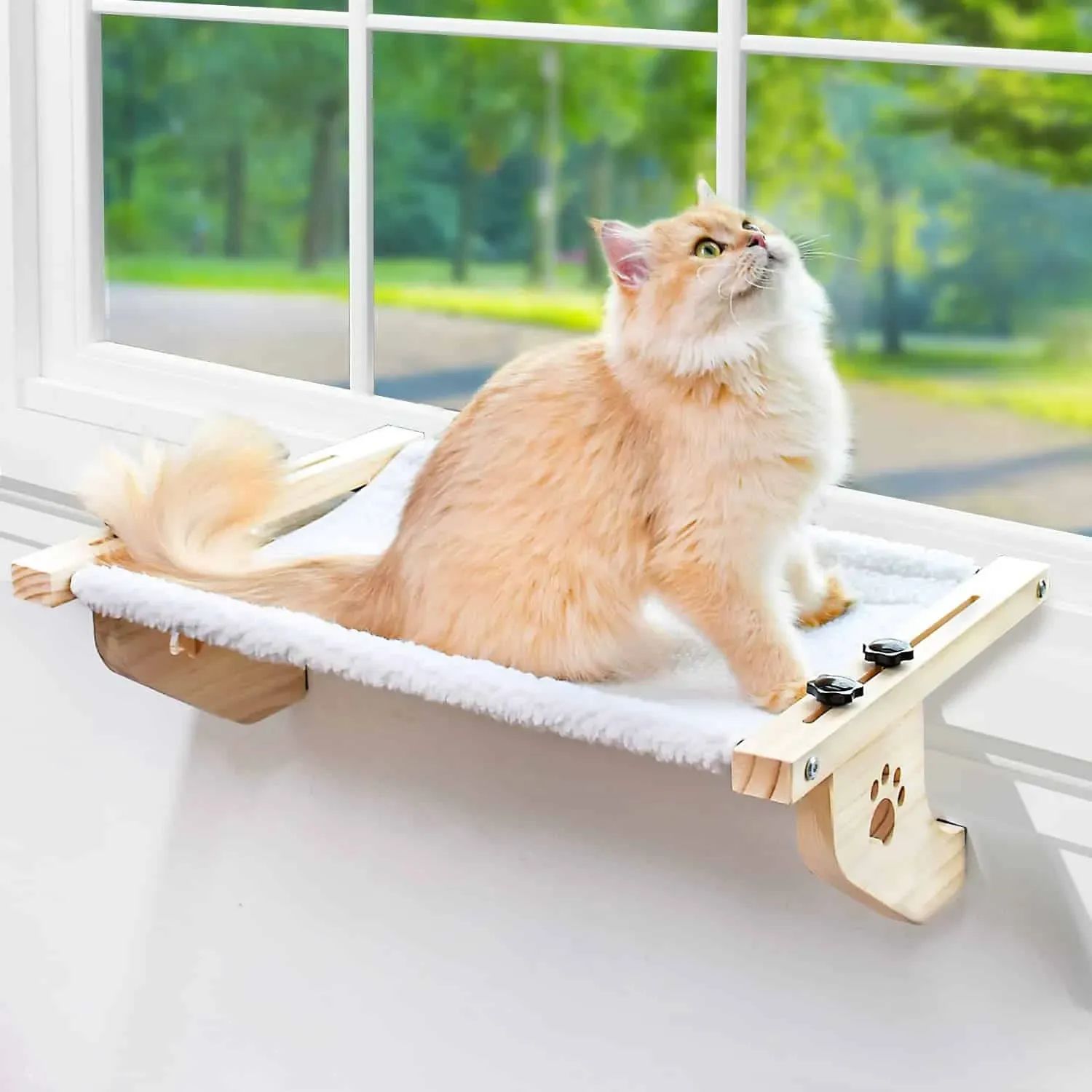 AMOSIJOY Cat Sill Window Perch