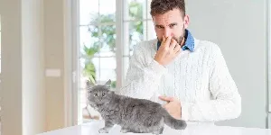 man holding nose due to cat fart