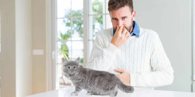 man holding nose due to cat fart