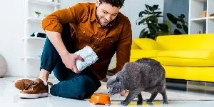A man feeding a cat in his living room.