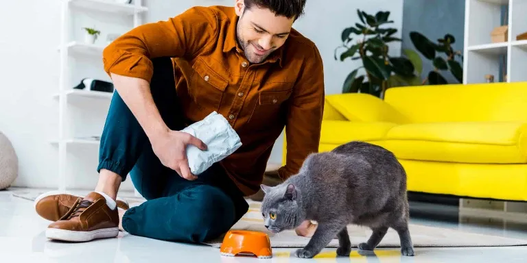A man feeding a cat in his living room.