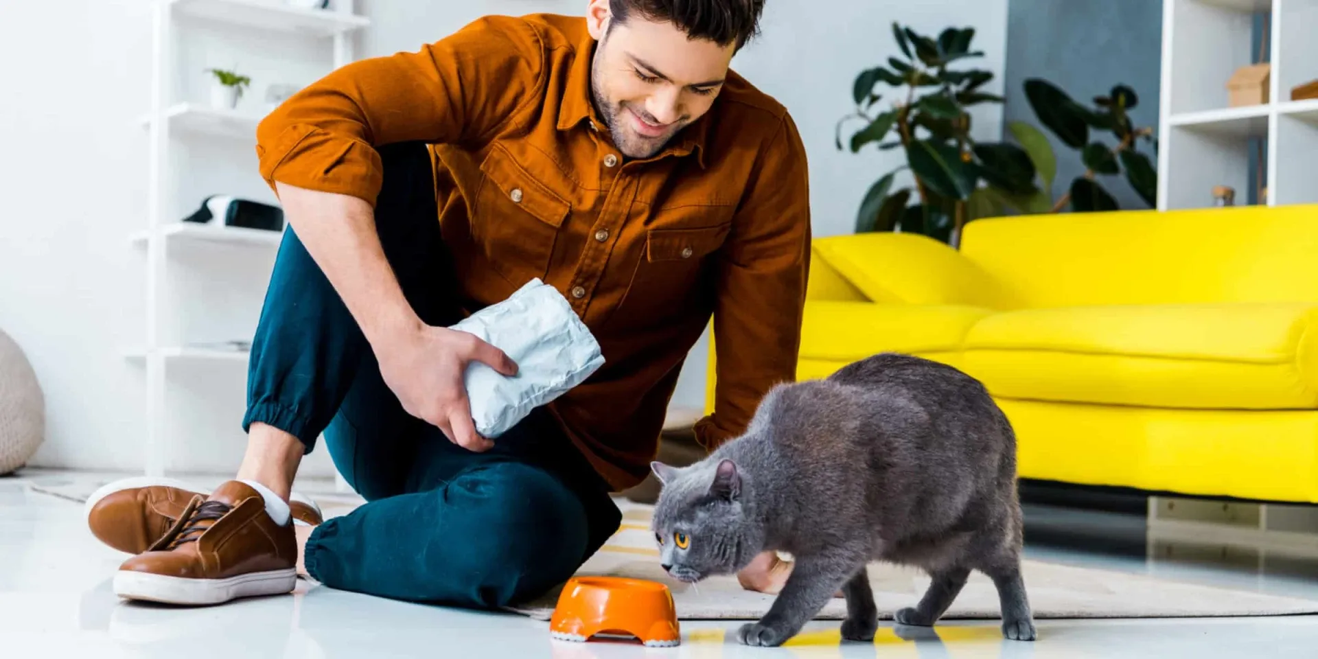 A man feeding a cat in his living room.