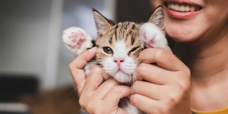 A woman is holding a kitten in her hands.
