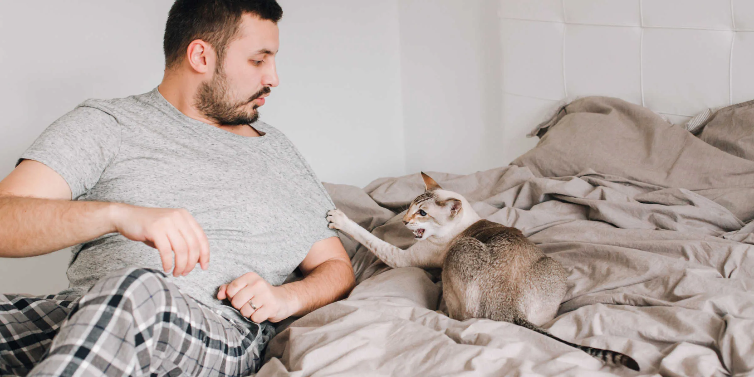 A man laying in bed with a cat.