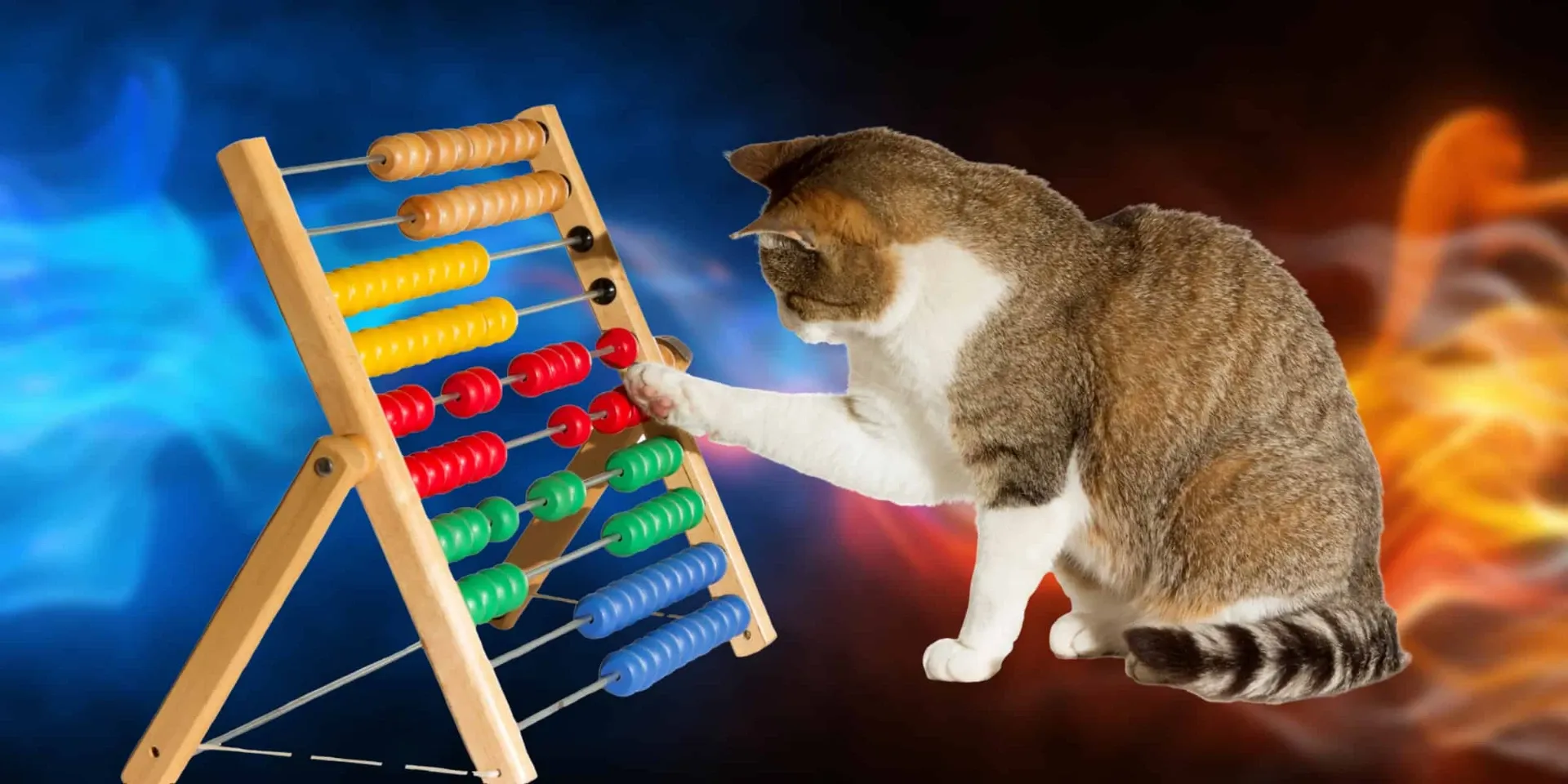 A cat playing with an abacus.