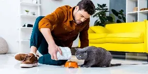 A man feeding a cat in his living room.
