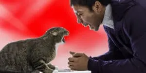 A man is yelling at a cat.