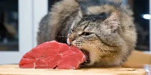 A cat is eating a piece of meat on a cutting board.