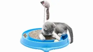 A gray cat playing with a blue scratching dish.