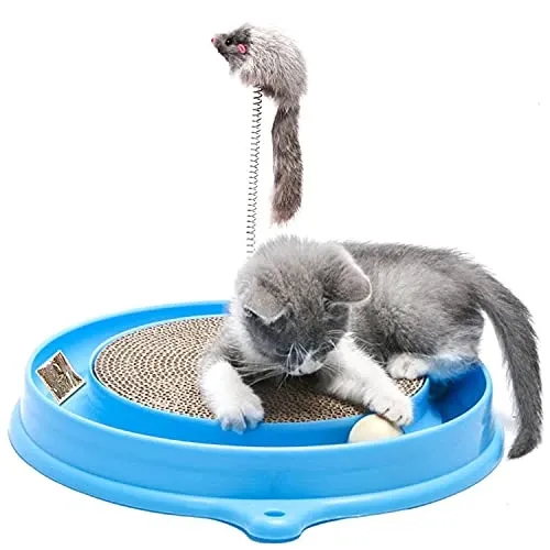 A gray cat playing with a blue scratching dish.