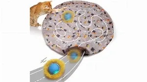 A cat is playing with a cat toy.