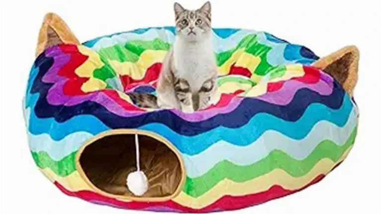 A cat sitting on a colorful cat bed.