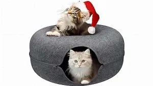 Two cats sitting in a cat bed with a santa hat.