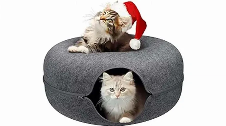Two cats sitting in a cat bed with a santa hat.