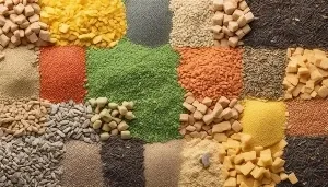 cat litter mix secrets