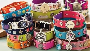 creative cat name suggestions