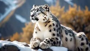 endangered felines need help