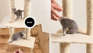 finding safe glue for cat trees