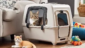 ideal cat carrier selection