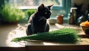toxic chives endanger cats