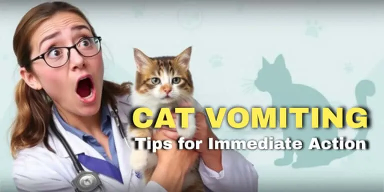 A person in a white coat looks surprised while holding a cat. The text overlay reads