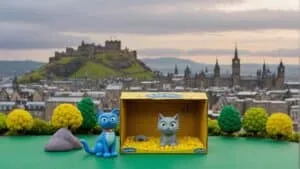 rehoming cats edinburgh guide