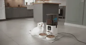A white cat sits by an automatic pet feeder with two food bowls and a digital display showing 
